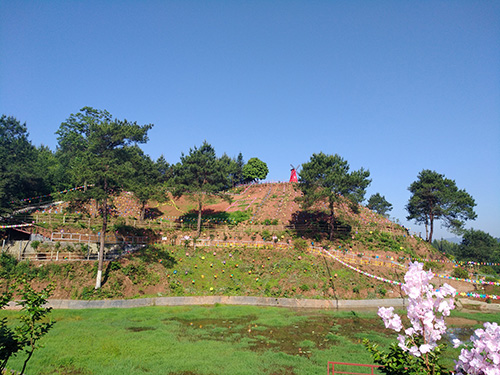 风车节实景