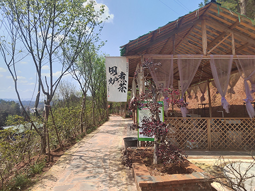拓展活动现场