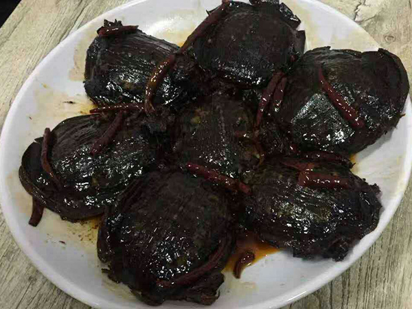 特色甲鱼