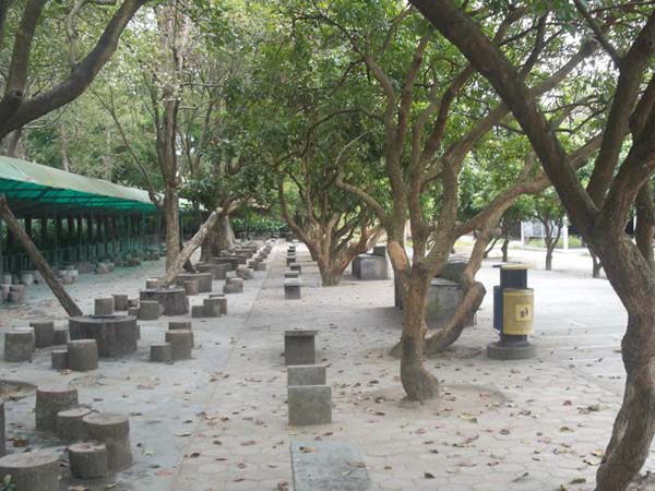 野炊烧烤