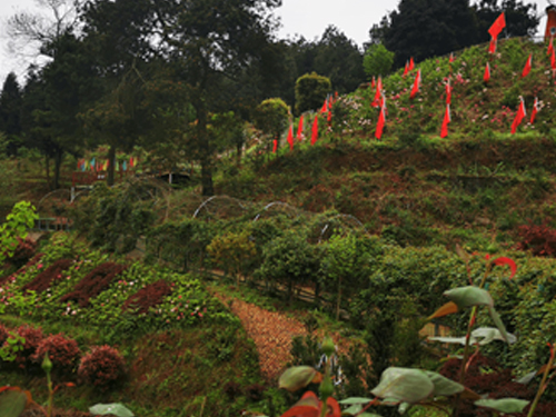 园区风景