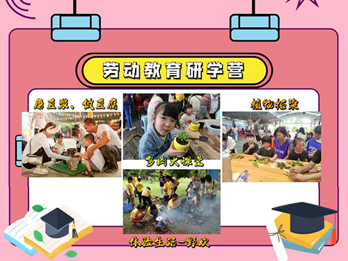 劳动教育研学