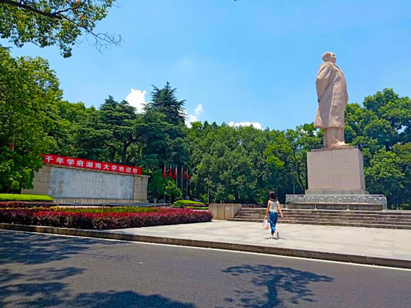 研学游行