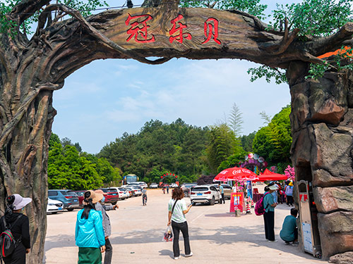 拓展活动现场