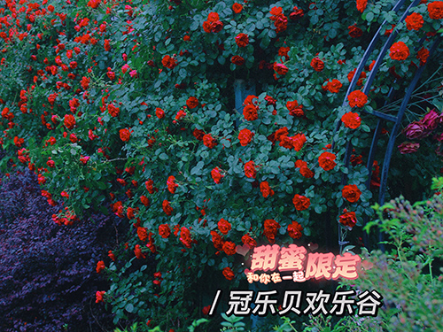 景区现场