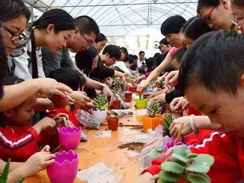 拓展活动现场